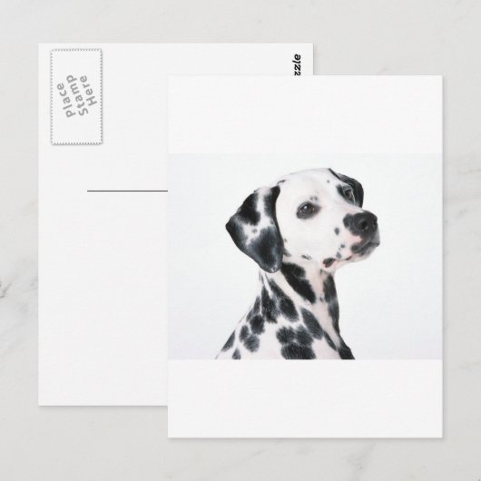 Dalmatiaans Briefkaart (Voorkant / Achterkant)