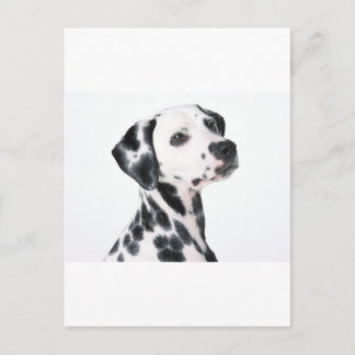 Dalmatiaans Briefkaart