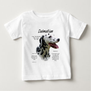 Dalmatiaans historisch ontwerp