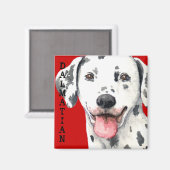 Dalmatiaans kleurenblok magneet (Voorkant / Achterkant)