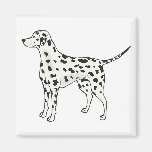 Dalmatiaans Magneet (Voorkant)
