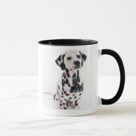 Dalmatiaans Mok (Rechts)