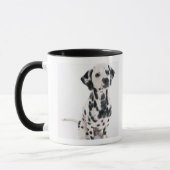 Dalmatiaans Mok (Links)