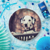 Dalmatiaans Papieren Bordje (Feest)