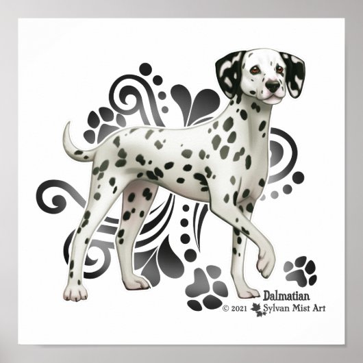 Dalmatiaans Poster (Voorkant)