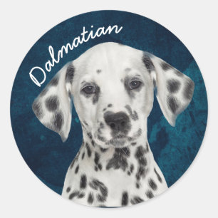 Dalmatiaans Ronde Sticker