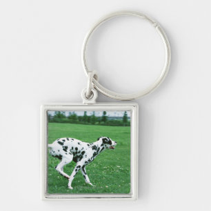 Dalmatiaans Sleutelhanger