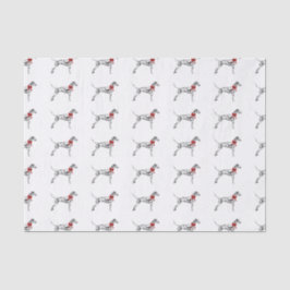 Dalmatiaans Tissuepapier