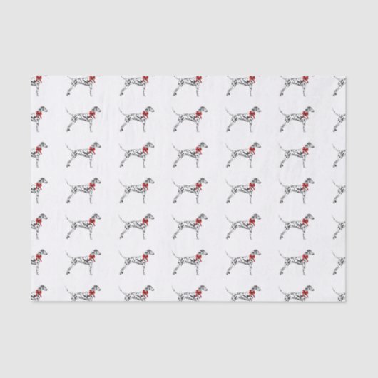 Dalmatiaans Tissuepapier (Voorkant)
