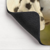 Dalmatian 4 muismat (Hoek)