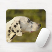 Dalmatian 4 muismat (Met muis)