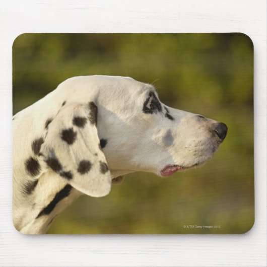 Dalmatian 4 muismat (Voorkant)