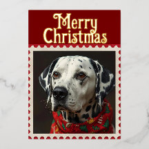 Dalmatian christmas