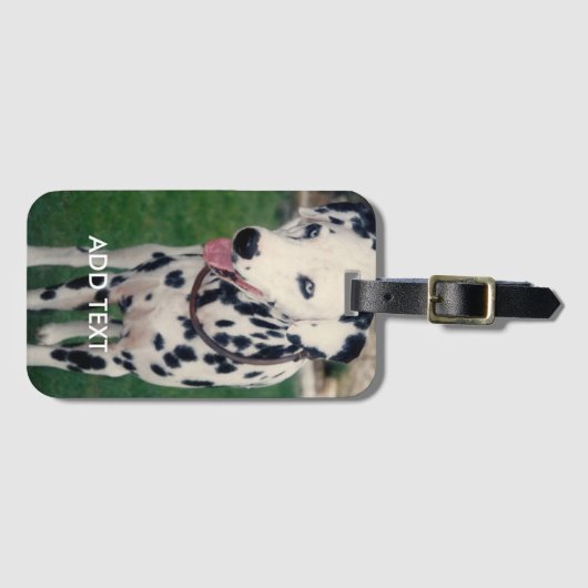 Dalmatian Dog Custom Foto Upload Pet Afbeelding Bagagelabel (Voorkant (horizontaal))