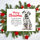 Dalmatian Dog Holiday Card Feestdagenkaart