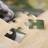 Dalmatian Dog Legpuzzel (Zijkant)