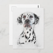 Dalmatian Dog Portrait Briefkaart (Voorkant / Achterkant)