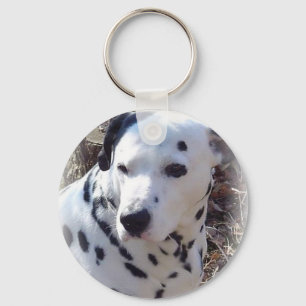Dalmatian Fire Dog Sleutelhanger