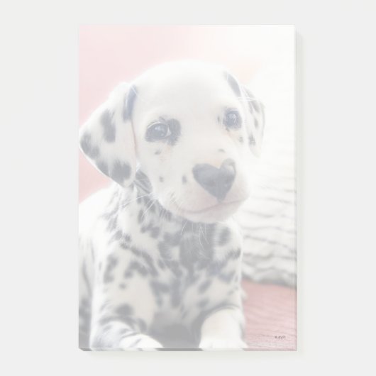 Dalmatian Heart Nose Post-it® Notes (Voorkant)