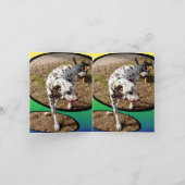 Dalmatian_On_Pastels,_Small_Note_Greeting_Kaart. Kaart (Binnen)