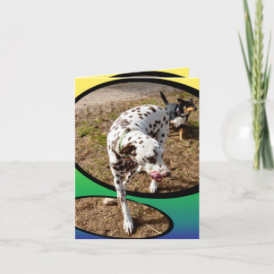 Dalmatian_On_Pastels,_Small_Note_Greeting_Kaart. Kaart