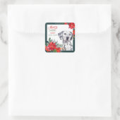 Dalmatian Poinsettia Border Kerstmis Vierkante Sticker (Tas)