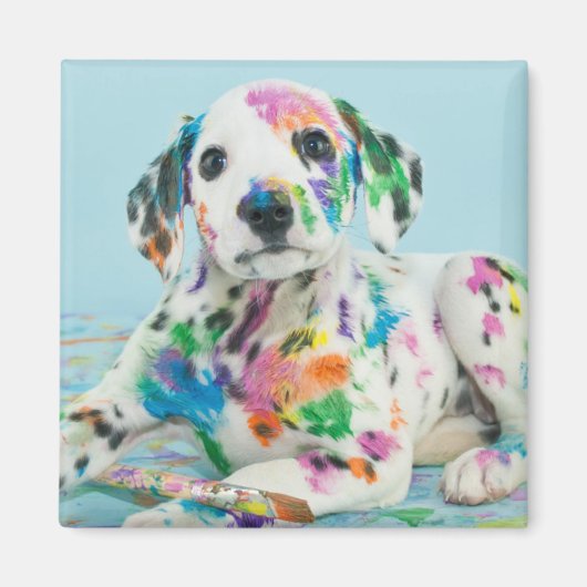 Dalmatian Puppy Magneet (Voorkant)