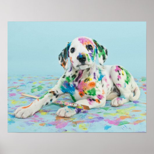 Dalmatian Puppy Poster (Voorkant)