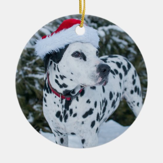 Dalmatian Santa Ornament (Voorkant)