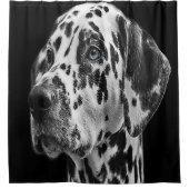 Dalmatian Shower Curtain Douchegordijn (Voorkant)