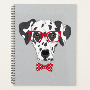 Dalmatie à la mode