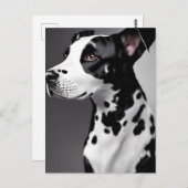 Dalmatie, Carte postale de poste (Devant / Derrière)