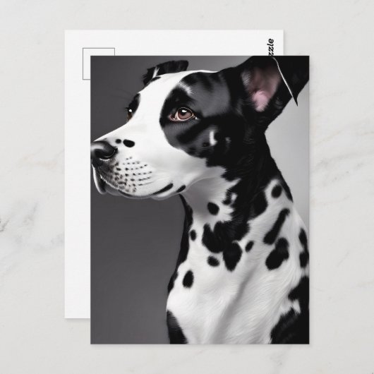 Dalmatie, Carte postale de poste (Devant / Derrière)