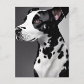 Dalmatie, Carte postale de poste (Devant)