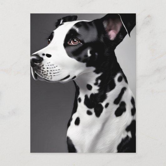Dalmatie, Carte postale de poste (Devant)