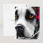 Dalmatie, Carte postale de poste (Devant / Derrière)