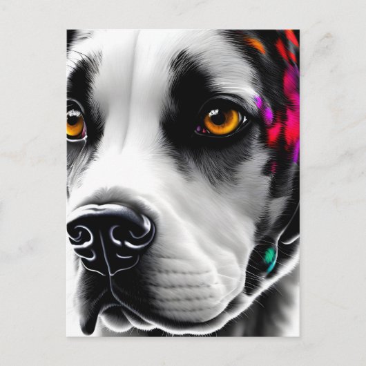 Dalmatie, Carte postale de poste (Devant)