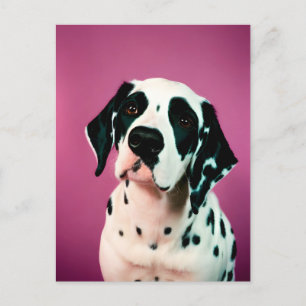 Dalmatie, Carte postale de poste