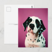 Dalmatie, Carte postale de poste (Devant / Derrière)
