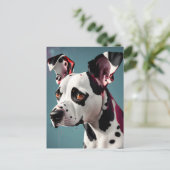 Dalmatie, Carte postale de poste (Debout devant)