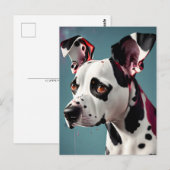 Dalmatie, Carte postale de poste (Devant / Derrière)