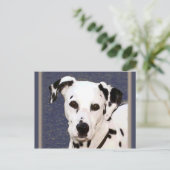 Dalmatie "Mayday" ~ Carte postale (Debout devant)