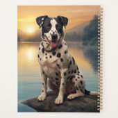 Dalmatien au bord d'un lac (Dos)