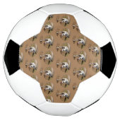 Dalmatien Brown, (Tourné)