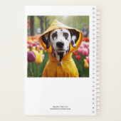 Dalmatien La Vie Posée (Dos)