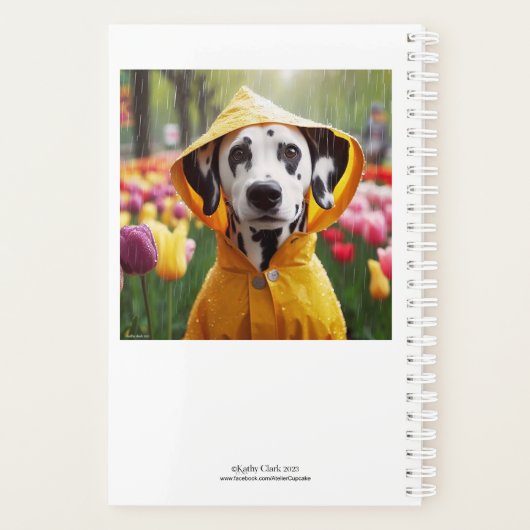 Dalmatien La Vie Posée (Dos)