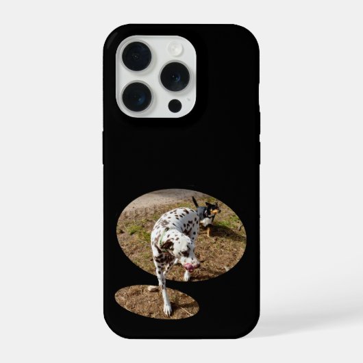 Dalmatien sortant du cadre de la fenêtre, (Verso)