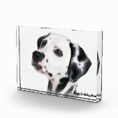 Dalmatiër hond. fotoblokken (Rechts)