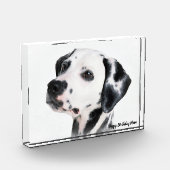 Dalmatiër hond. fotoblokken (Links)