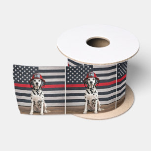 Dalmatiër met brandweerhelm lint